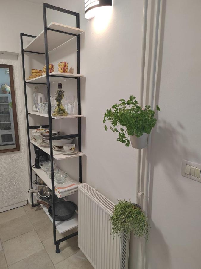 Apartment Brioni